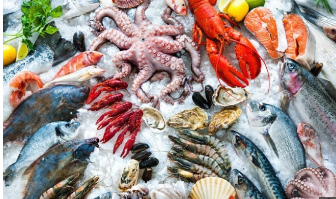 السمك عامل بريمو في السوق.. أسعار الأسماك تخرج عن المألوف