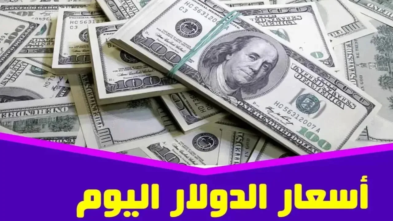 وصل كام الأخضر؟.. سعر الدولار اليوم الأحد 15-12-2024 مقابل الجنيه المصري.. ياتري سجل كام