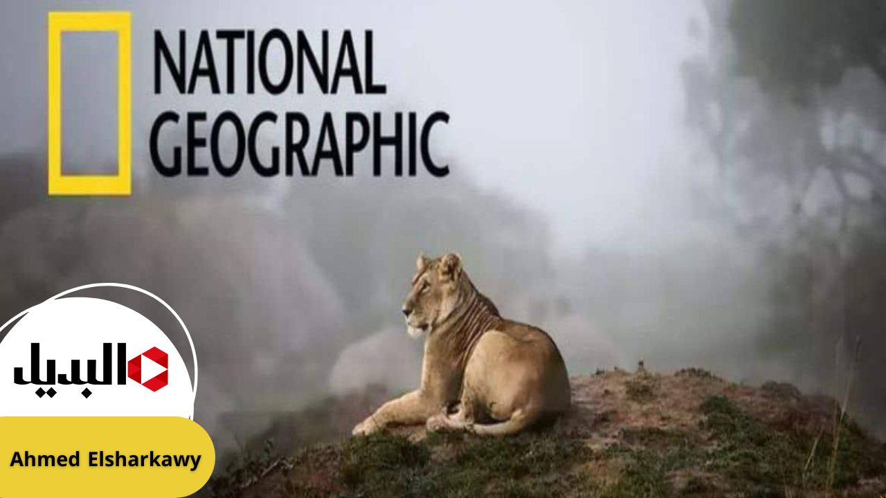 “رحلتك إلى الطبيعة” تردد قناة ناشيونال جيوغرافيك الجديد 2025 National Geographic Channel بجودة عالية HD