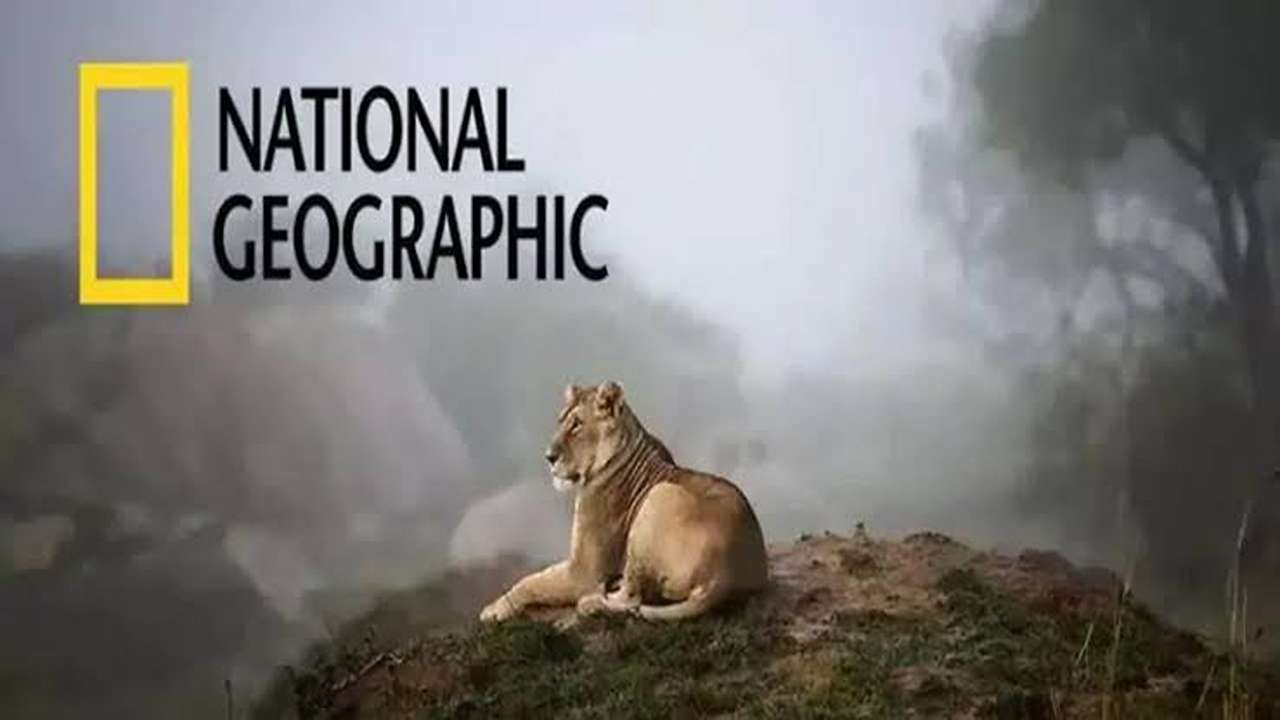“National Geographic“ تردد قناة ناشيونال جيوغرافيك نايل سات وعربسات 2025 .. بعــد التحـديـث