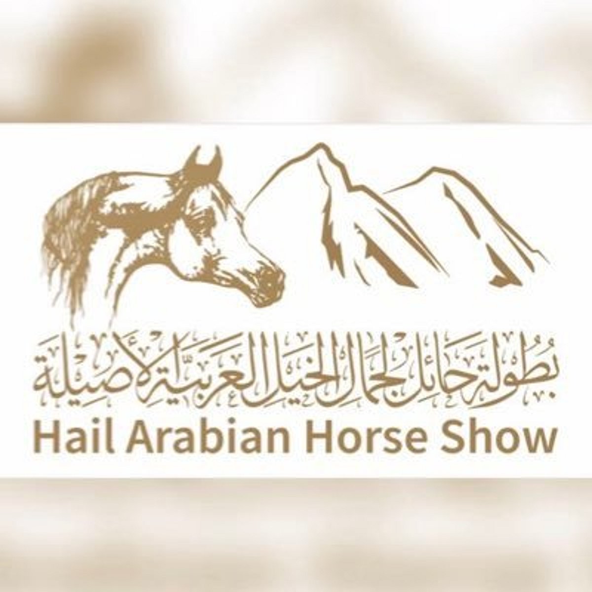 بداية التسجيل في بطولة حائل الدولية لجمال الخيل العربية الأصيلة 2025 للنسخة الرابعة