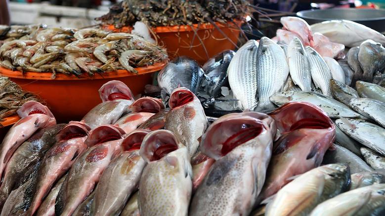 مع نهاية تعاملات السنة الحالية .. أسعار السمك اليوم في سوق العبور وتوقعات الاسعار بداية من العام الجديد