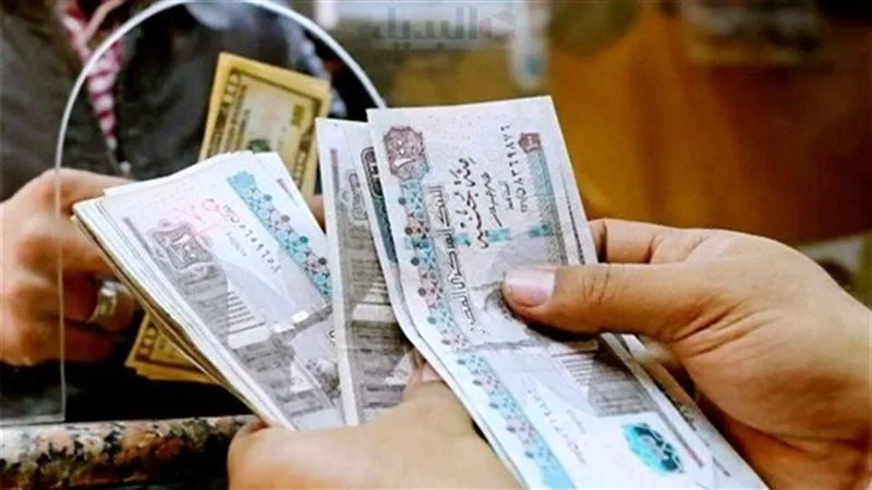 فيها زيادة ولا لا؟ .. أعرف حالًا الاستعلام عن مرتبات شهر ديسمبر بالرقم القومي وحقيقة الزيادة الجديد 2025